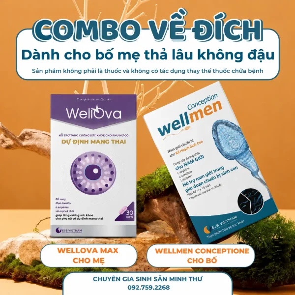 COMBO VỀ ĐÍCH