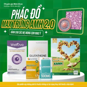 COMBO AMH MAX 2.0