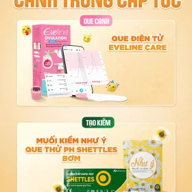 COMBO CANH TRỨNG CẤP TỐC
