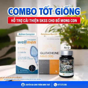 COMBO TỐT GIỐNG - CẢI THIỆN SỨC KHỎE SINH SẢN CHO BỐ MONG CON