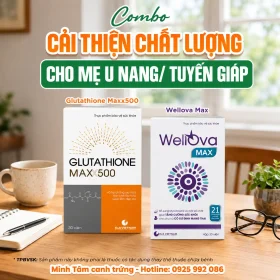 COMBO CHO MẸ U NANG/TUYẾN GIÁP