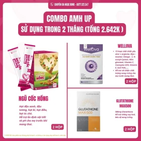 COMBO AMH UP