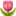 🌷
