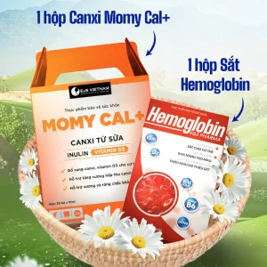 COMBO PHỤC HỔI SỨC KHOẺ SAU SINH