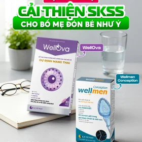 Combo Wellova và Wellmen Conception