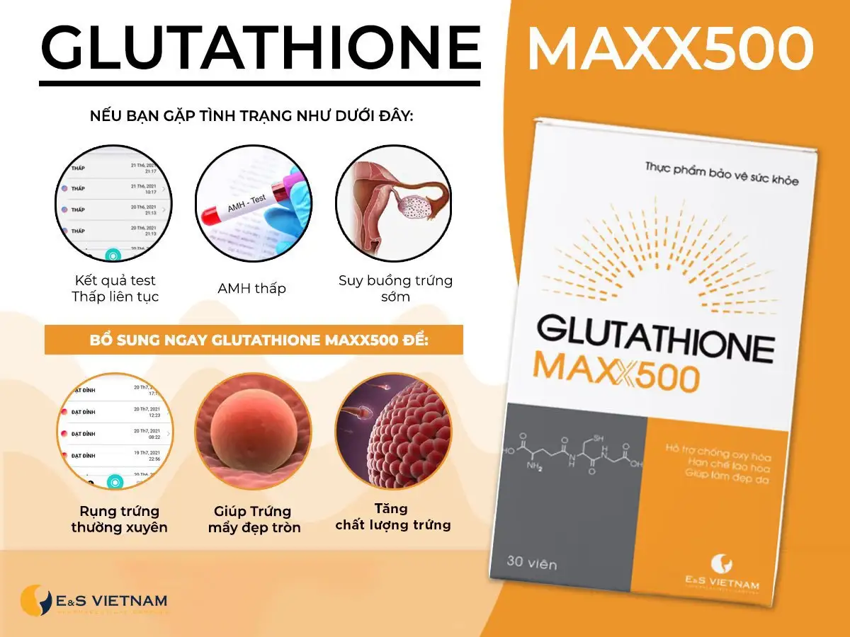 Glutathione MAXX500 hỗ trợ bảo vệ buồng trứng, tăng cơ hội thụ thai
