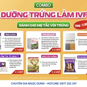 COMBO DƯỠNG TRỨNG LÀM IVF
