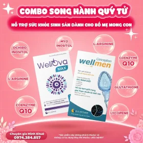 COMBO SONG HÀNH QUÝ TỬ