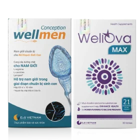 COMBO WELLOVA MAX - WELLMEN CONCEPTION