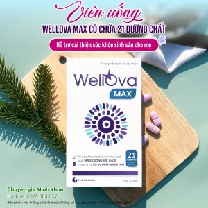 COMBO 2 HỘP BỔ TRỨNG WELLOVA MAX